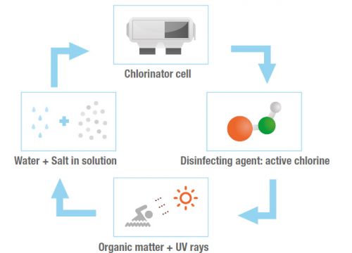 Dovolenka pri „mori“ vo vašej záhrade? Pozitíva slanej vody v bazéne. 